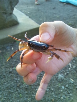 川で遊ぶパート1